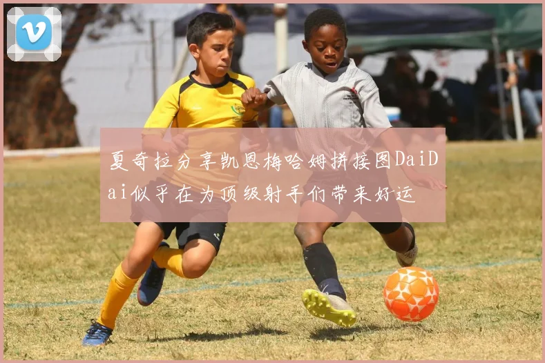 夏奇拉分享凯恩梅哈姆拼接图DaiDai似乎在为顶级射手们带来好运