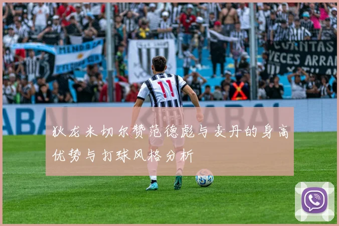 狄龙米切尔赞范德彪与麦丹的身高优势与打球风格分析